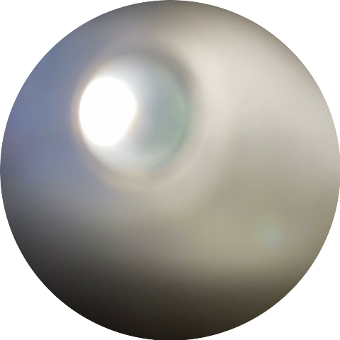 Encoded Creature