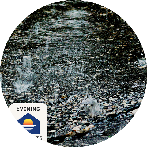 Evening Mudflats