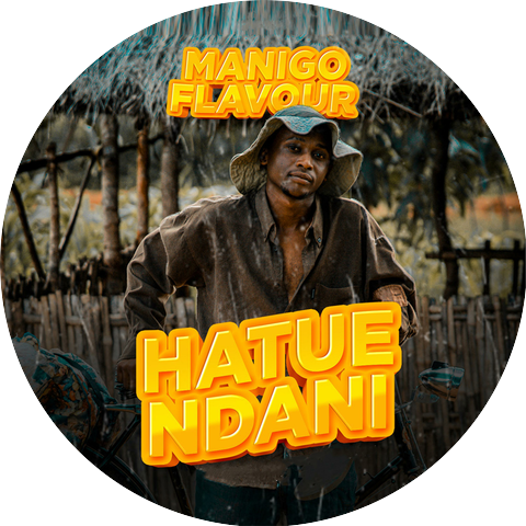 Manigo Flavour