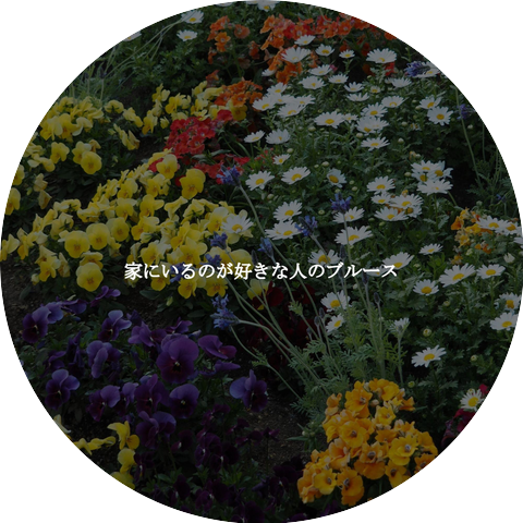 Soothing Classic Bossa Nova