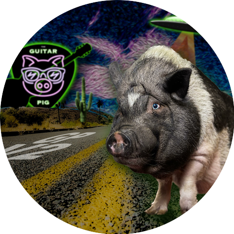 The Guitar Pig