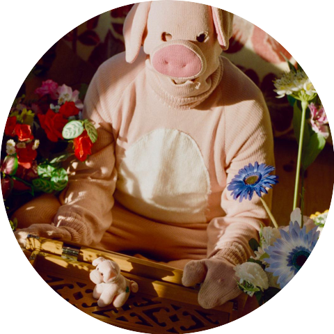 pigbaby