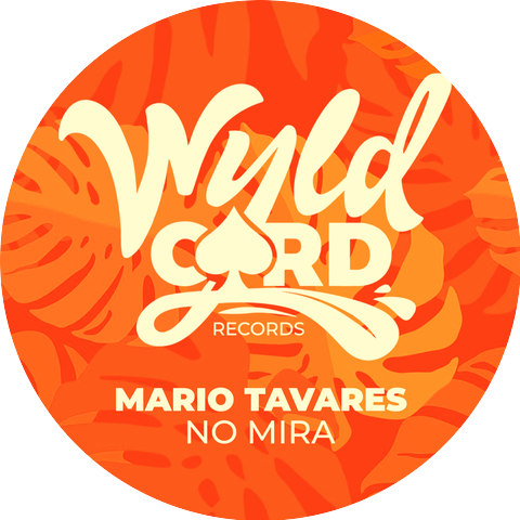 Mario Tavares