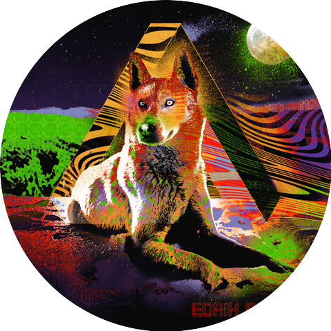 Edrix Puzzle