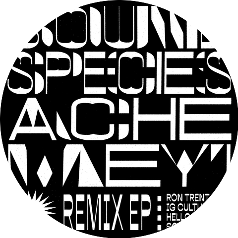 Soundspecies & Ache Meyi