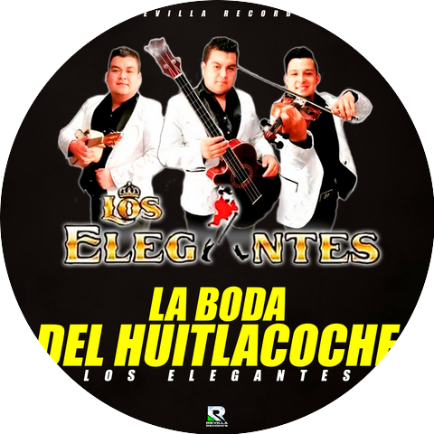 TRIO LOS ELEGANTES DE HIDALGO