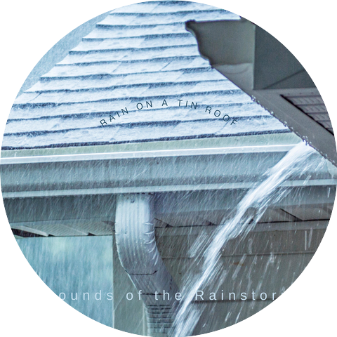 Sounds of the Rainstorm