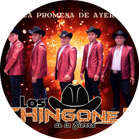 LOS CHINGONES DE LA SIERRA