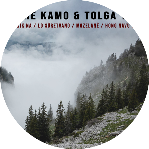 Şahe Kamo