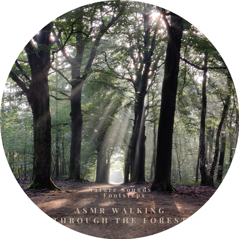 ASMR Walking through the Forest
