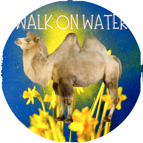 Sophie Bickerdike & Octoberture