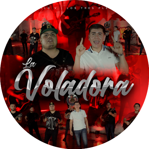 Estilo V