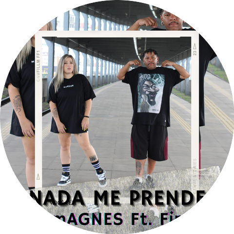T1PO ASSIM