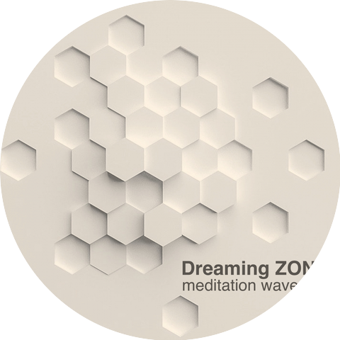 Dreaming ZONE