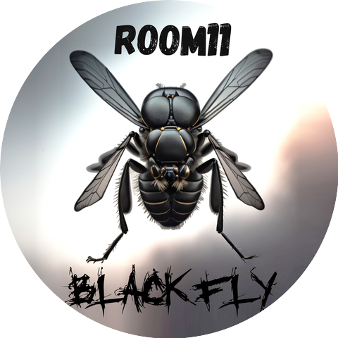 ROOM11