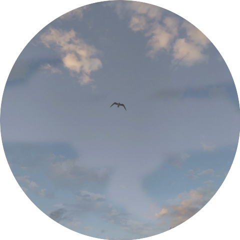 LitWinOff