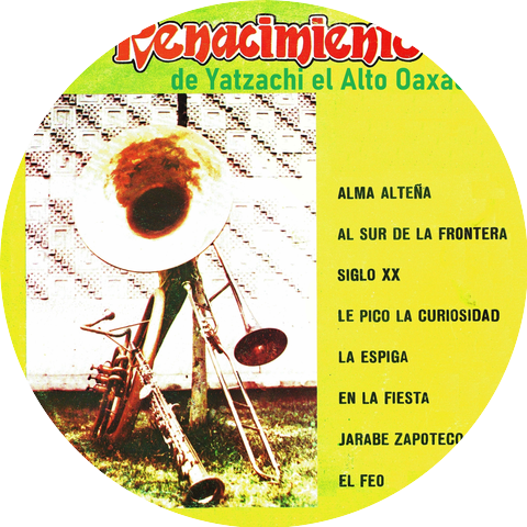Banda Renacimiento de Yatzachi el Alto Oaxaca