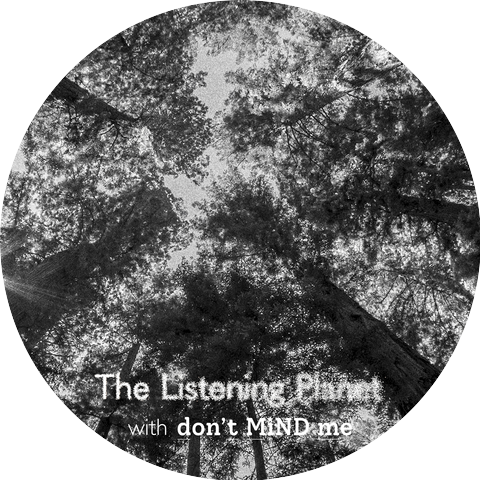 The Listening Planet and Constance Zimmer