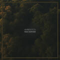 Ambientics