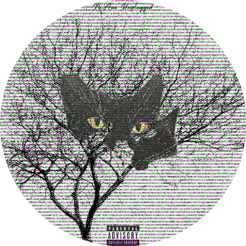 NoAux Unplugged