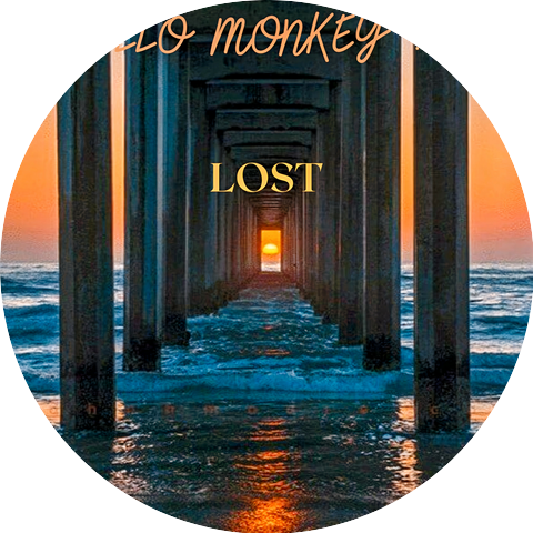Hello Monkey !!!
