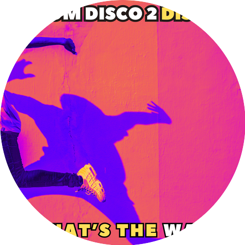 From Disco 2 Disco