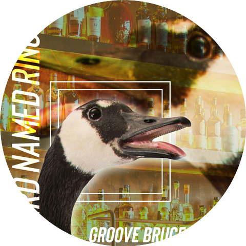 Groove Bruce Groove