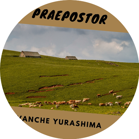 Revanche Yurashima