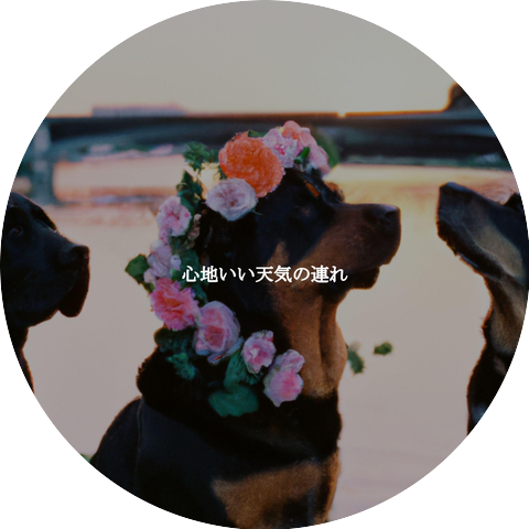 Hotel Bossa Nova Deluxe