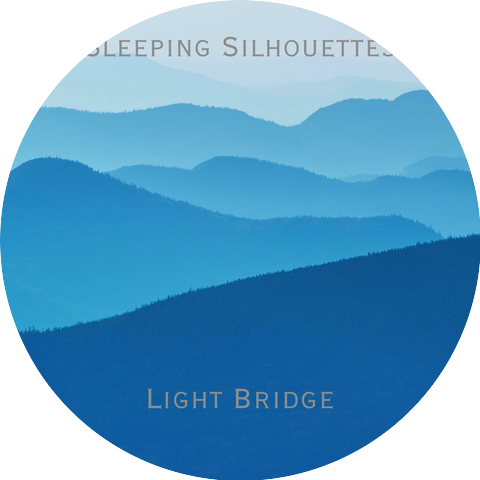 Light Bridge