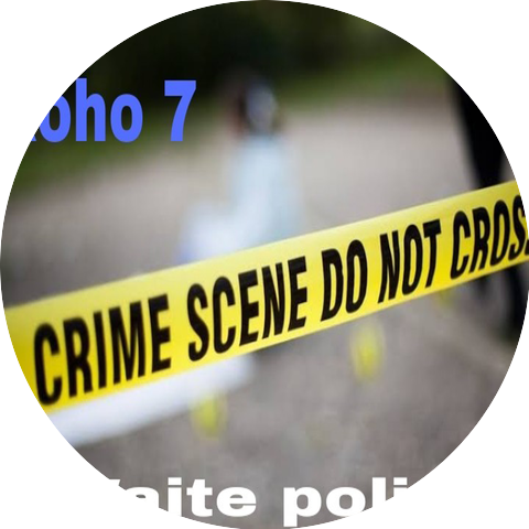 Roho 7