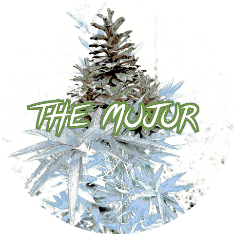 The Mujur