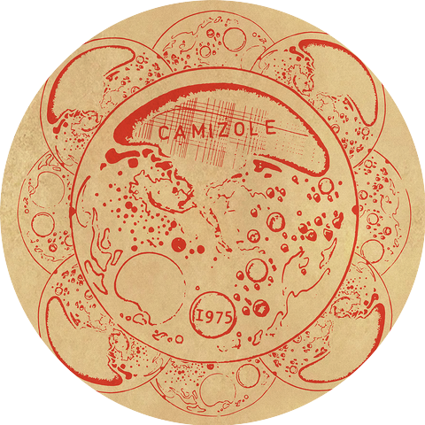 CAMIZOLE