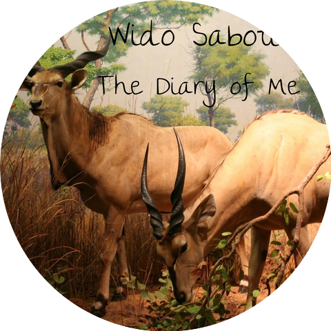 Wido Sabotic
