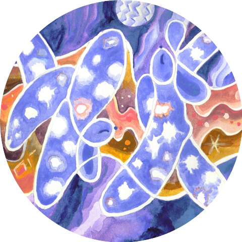 フレンズ