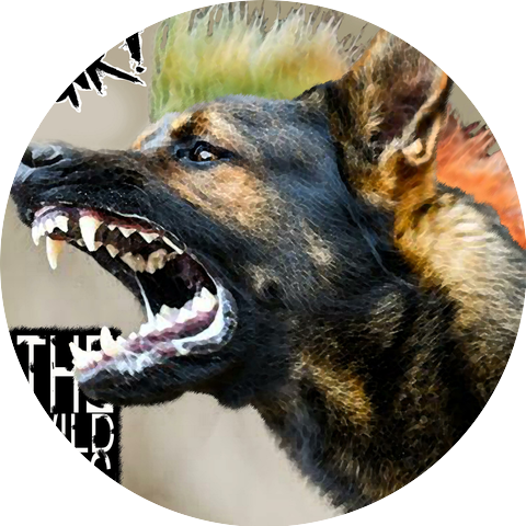 THE WILD PIGS