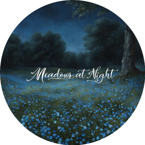 Meadows at Night