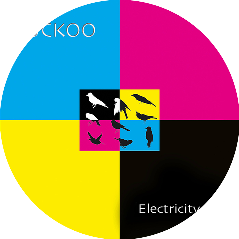 Electricity Bill