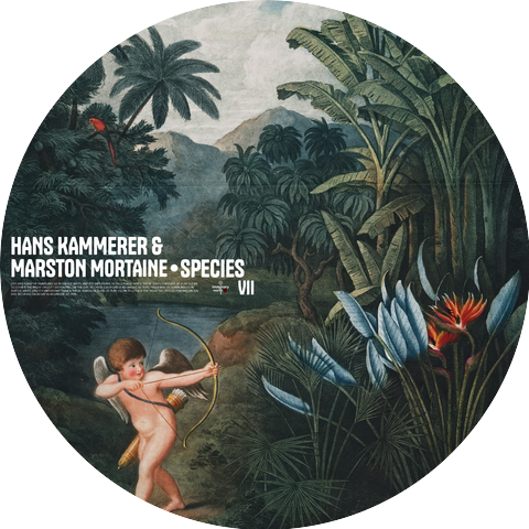 Hans Kämmerer