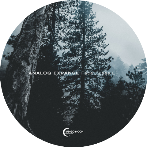 Analog Expanse