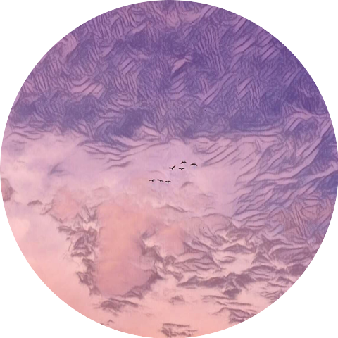 The Meditative Goldfish