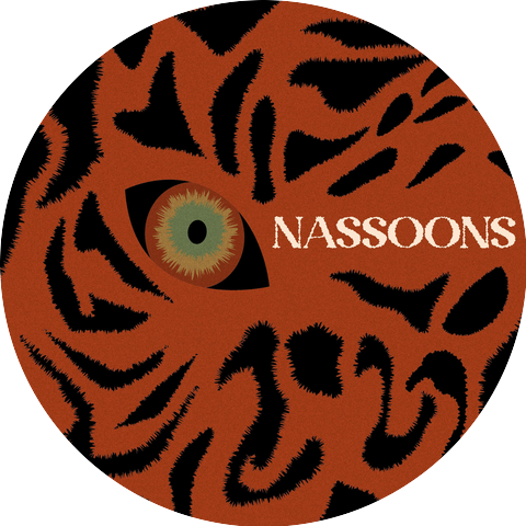 The Princeton Nassoons