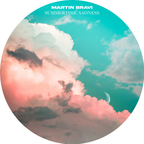 Martin Bravi
