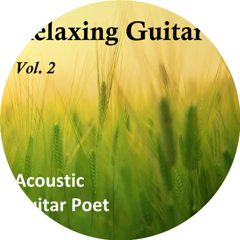 Acoustic Guitar Poet