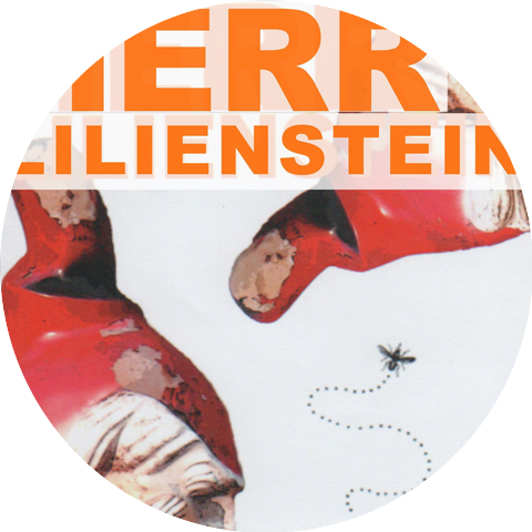 Herr Lilienstein