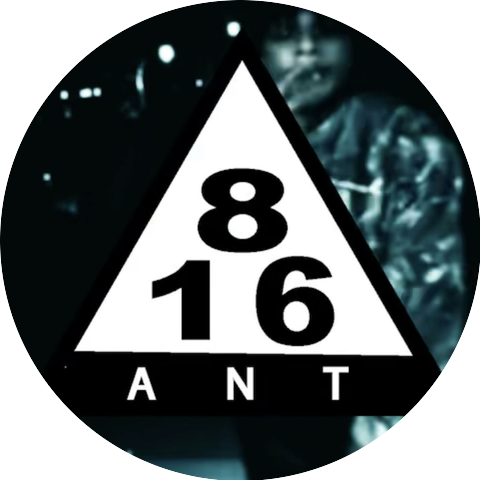 816ant
