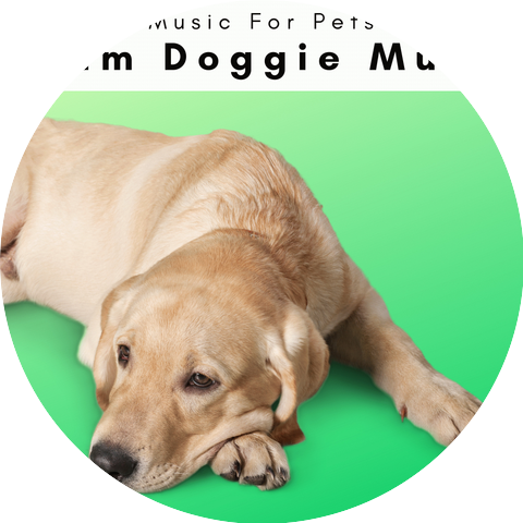 Music For Pets