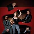 The Cardigans