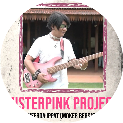 Misterpink Project