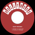 Buddy Bregman